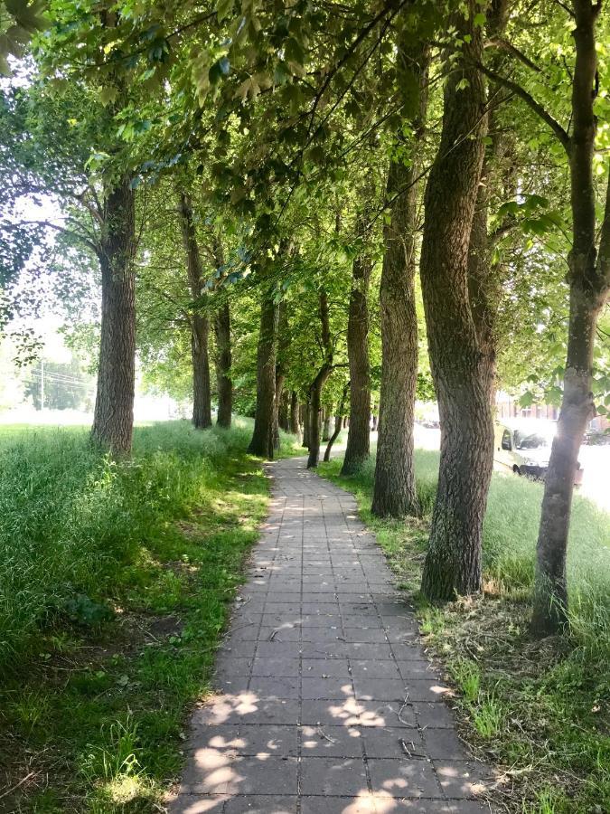Sea And Dunes Knokke-Heist Exteriör bild