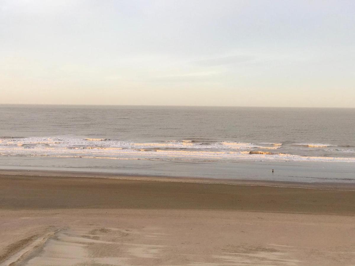 Sea And Dunes Knokke-Heist Exteriör bild